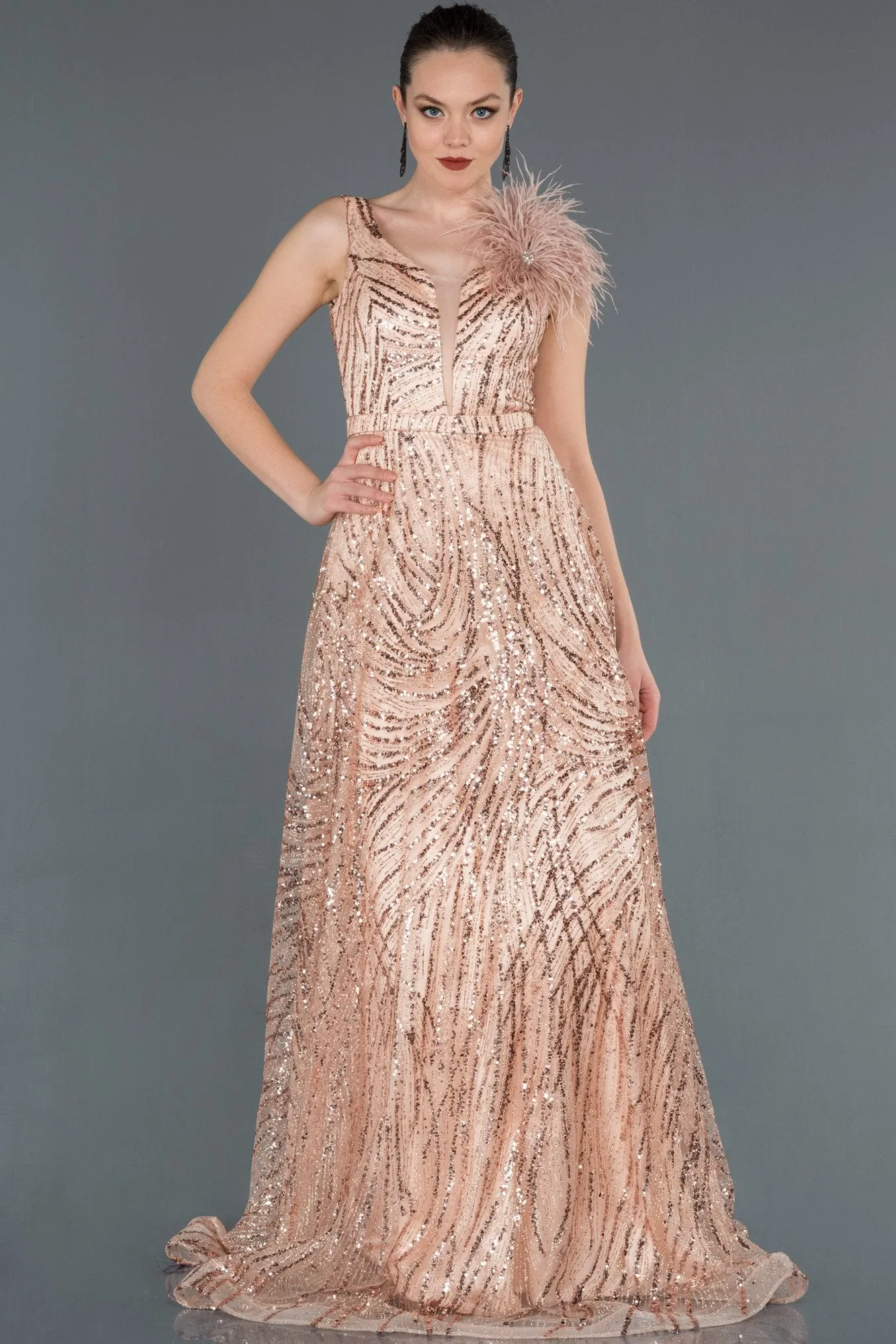 16657 Powder Feather Detail Sequined Tulle Dress