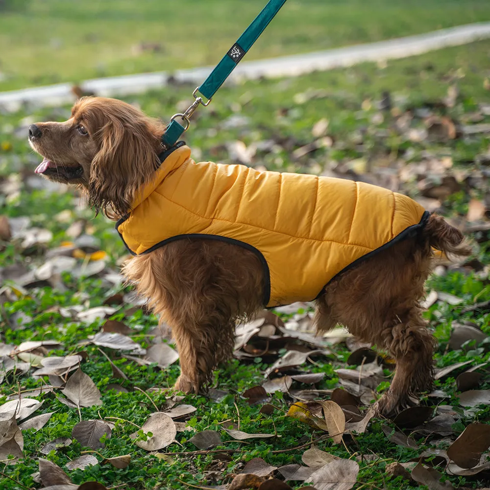 Dear Pet Quilted Jacket for Dogs in Yellow