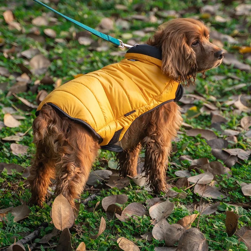 Dear Pet Quilted Jacket for Dogs in Yellow