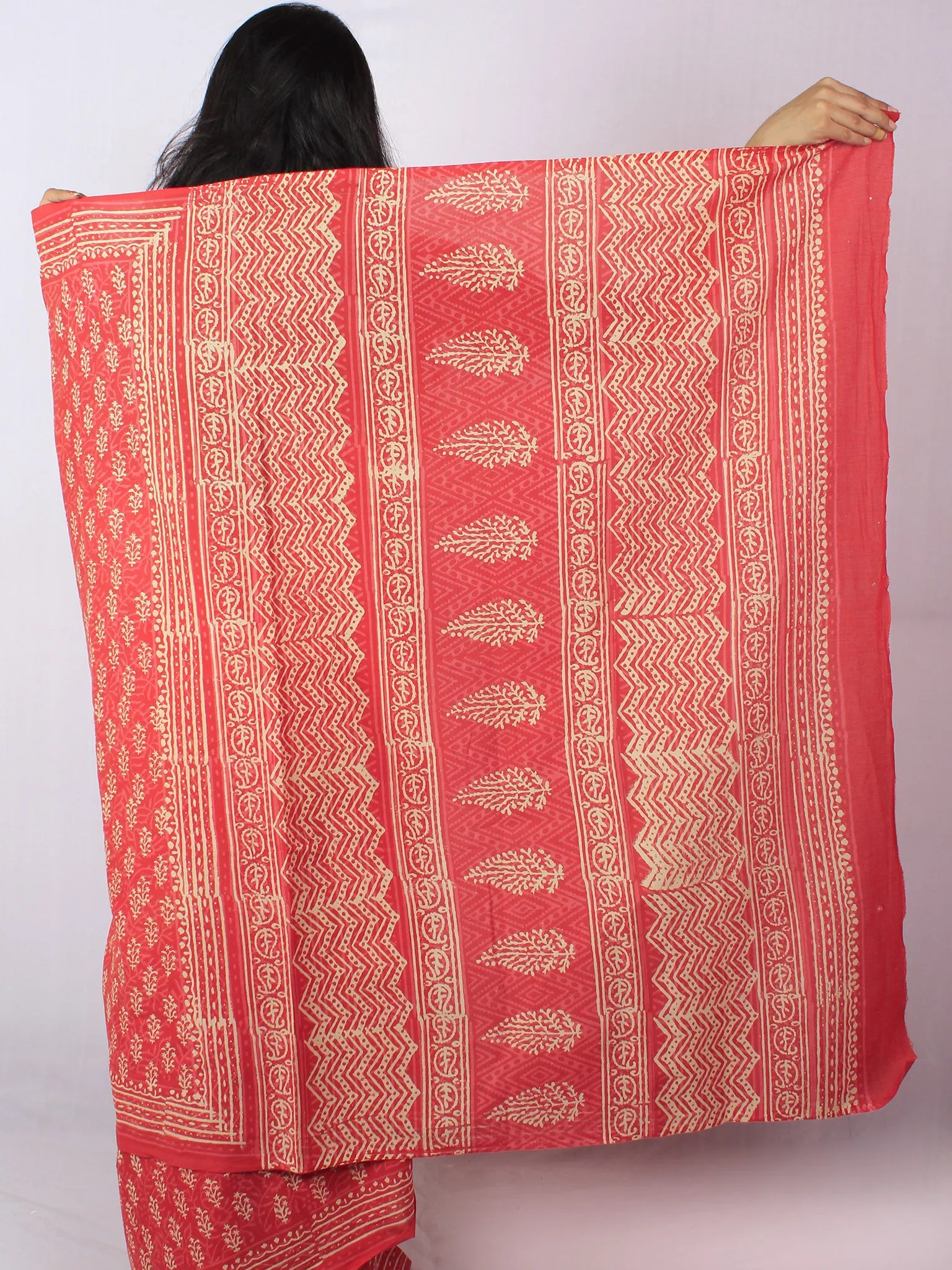 Scarlet Red Pink Beige Hand Block Printed Cotton Saree in Natural Colors - S03170810